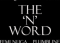 the n word