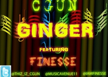 GINGER 2