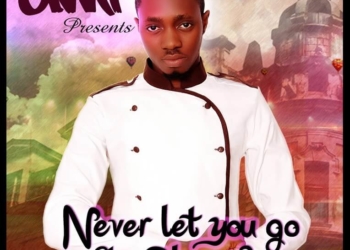 Never Let You Go Artwork DMI