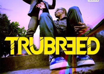 trubreed promo design