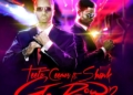 Teeto Shank Go Down Artwork