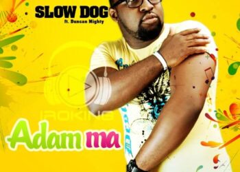 slow dog 2