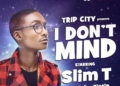 Slim T