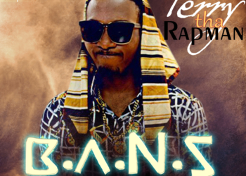 Bans Is The Motto Artwork