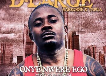D Large Onyenwere