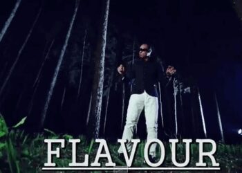 FlavourAdaAda