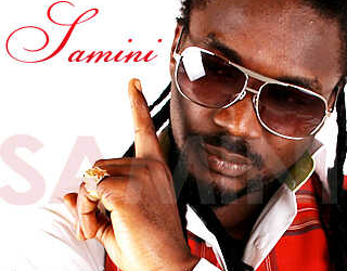 SAMINI DaProFiLe