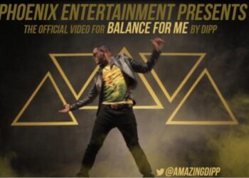 dipp video