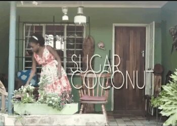 jodie sugar coconut