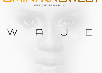 Waje Omniknowest Artwork