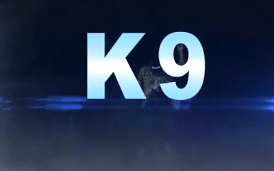 k9 kokoma dance video download