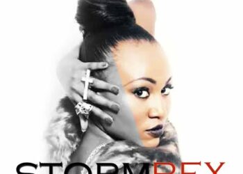 Storm Rex Freedom Art