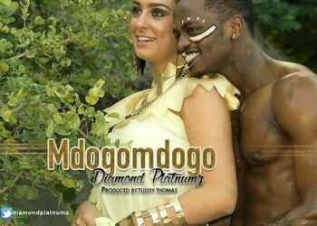 Diamond Platnumz Mdogomdogo Art