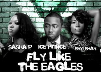 Fly Like The Eagles ART1