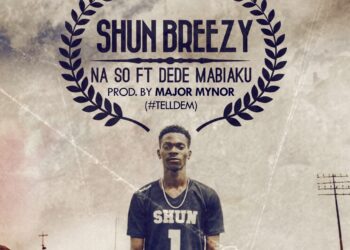 Shun Breezy Na So Art Front2