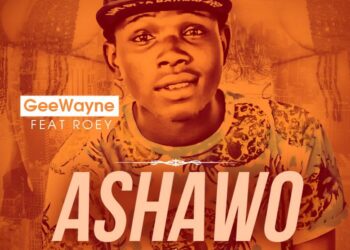 Gee Wayne Ashawo Art