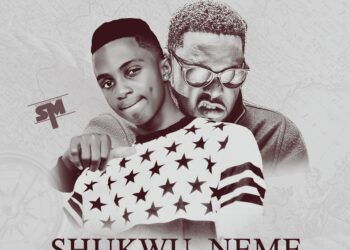 Danie Timaya Shukwu Neme Art