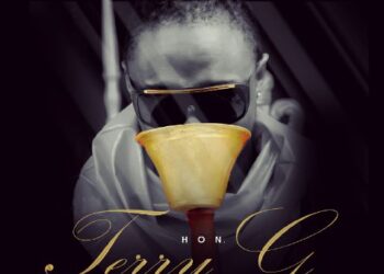 wpid terry g no go look face artwork.jpg