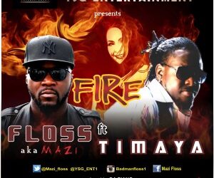 floss fire dp 1 300x306