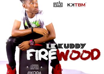 LK Kuddy Firewood Art 1
