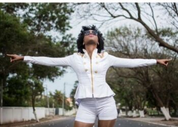 mzvee 500x482 500x336