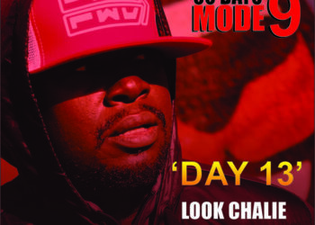 Day 13 Modenine