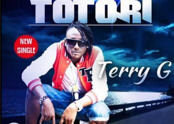 Terry G Totori Art