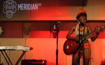 VIDEO: Aduke's Performance at Afro Dreamfest in New York City 3 Aduke Performing In New York
