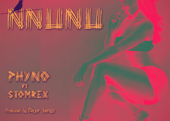 Phyno NnUnU Artwork