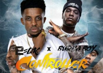 ControllerArtwork