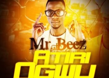 Mr Beez