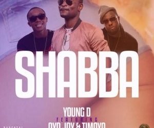 shabba feat ayo jay timaya 300x300