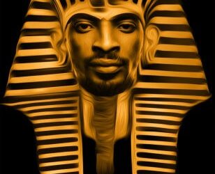 wpid 9ice3
