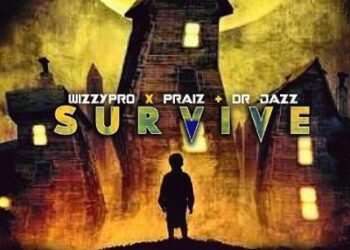WizzyPro Survive