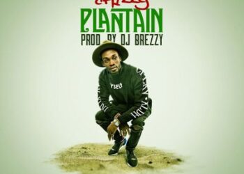 Chizzy Plantain Art