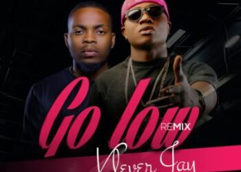 Go Low Remix