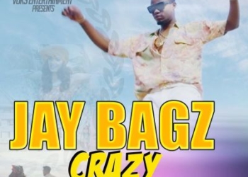 Jay Bagz Crazy Video Art