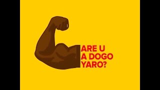 dogo