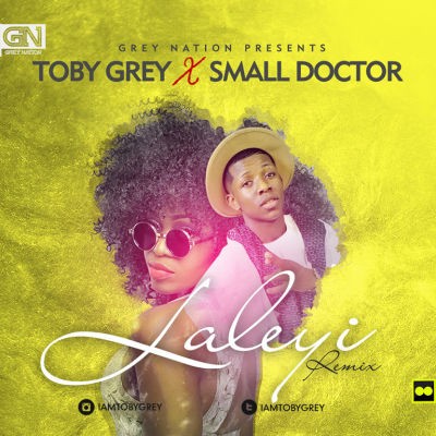 Toby Grey - Laleyi (Night Train) [ART] Small Doctor