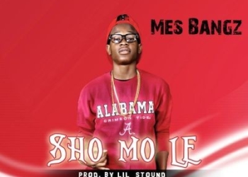 shomole copy 1