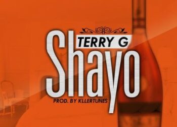Terry G - Shayo 12 artworks 000147241327 5dbjwo t500x500