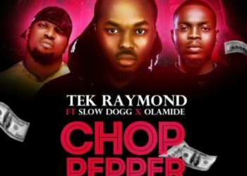 Tek Raymond Chop Pepper ft Slow Dogg Olamide ART