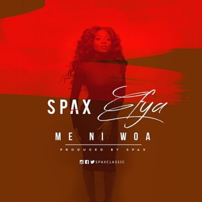 spax-500x500