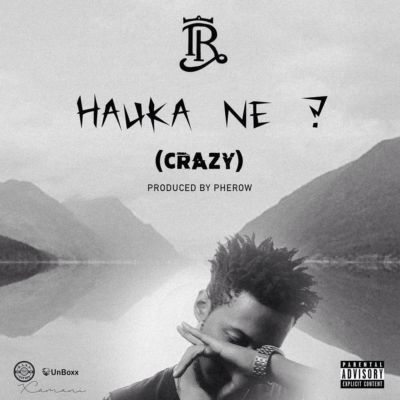 Hauke Ne art