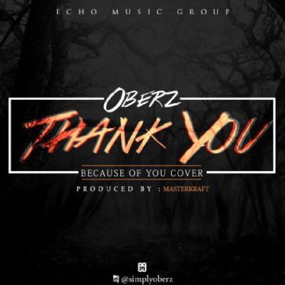 Oberz - Thank You (Masterkraft Cover) 1 IMG_20160416_184216