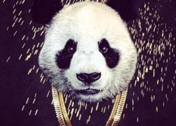 Kelly Hansome Panda Cover ART