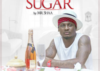 Mr Shaa - Sugar 2 Mr Shaa Sugar ART