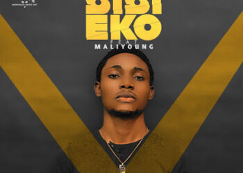 Savana Boi art cover main