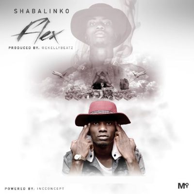 Shabalinko-Flex-Art