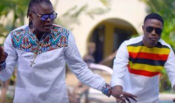 pallaso and vector